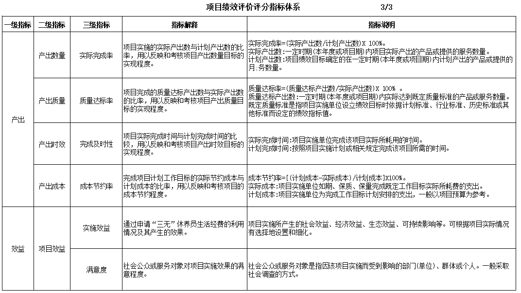 项目绩效评价评分指标体系