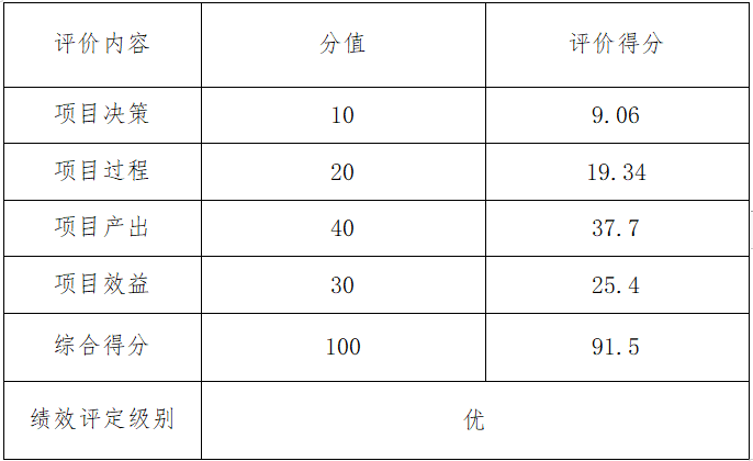 綜合評價情況及評價結論相關評分表