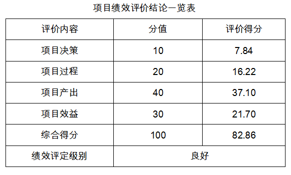 项目绩效评价结论一览表