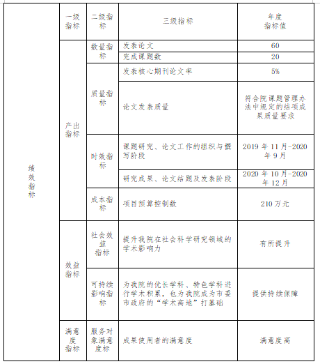 项目绩效指标表