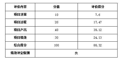  项目支出绩效评价评分表