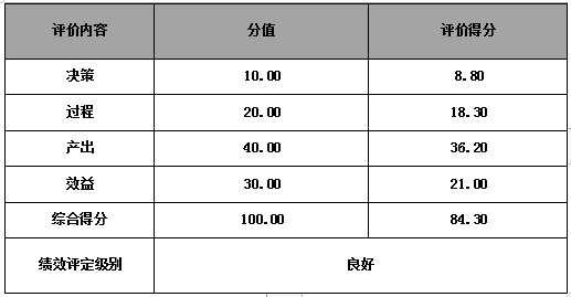 广告费项目绩效评价结论一览表