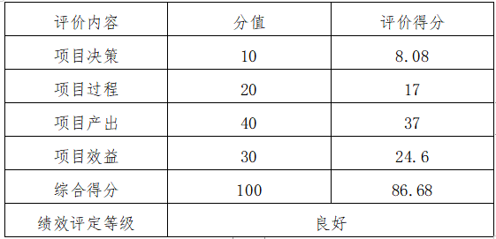 项目绩效评价结论一览表