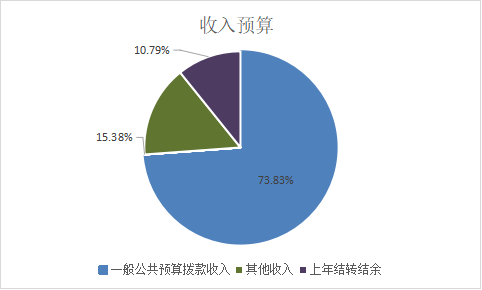 圖1：收入預算