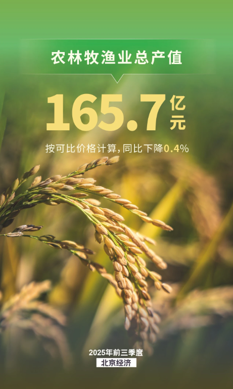 農業生産保持穩定，種業收入兩位數增長