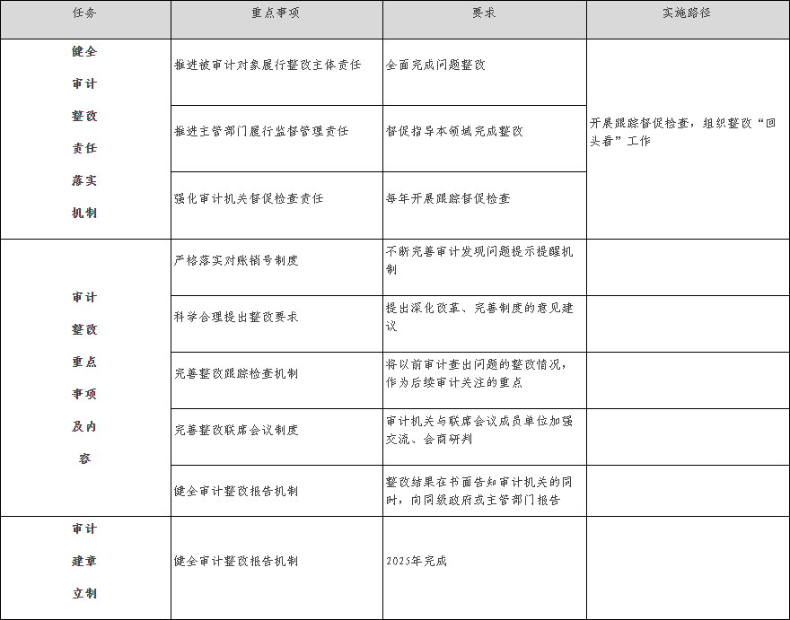 表11　审计查出问题整改“十四五”工作任务.png