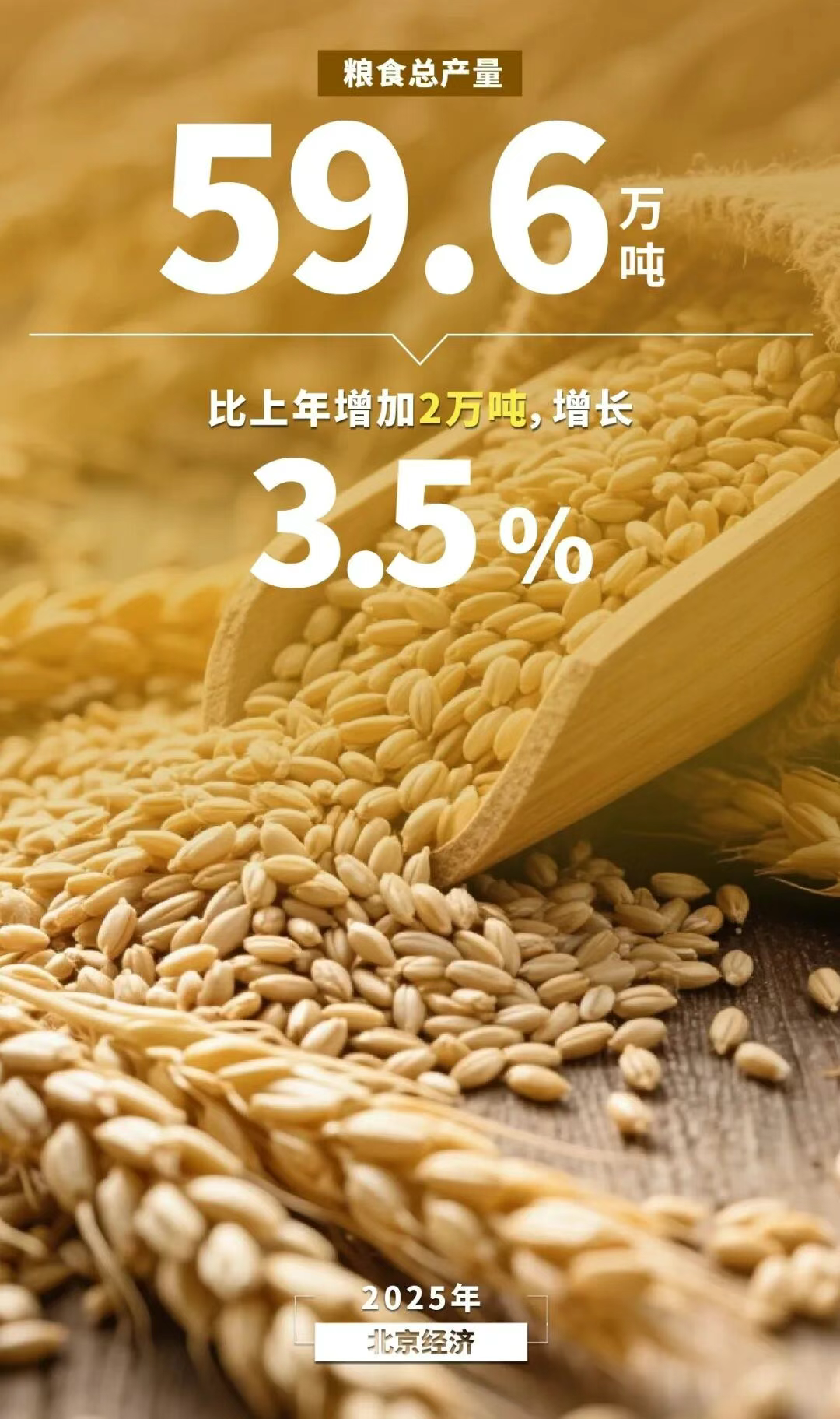 圖解丨數覽2025年北京經濟年報