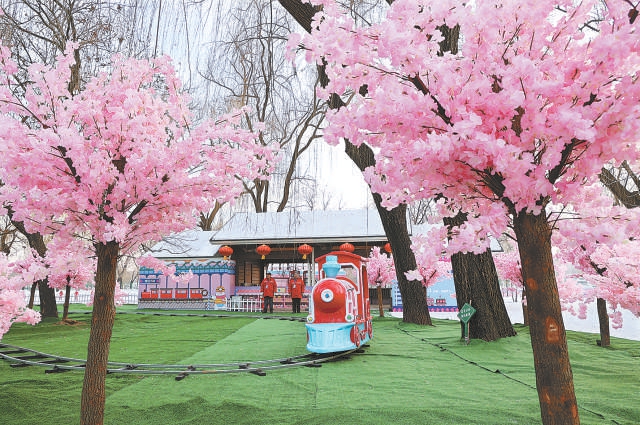 玉渊潭公园“赏樱”小火车。