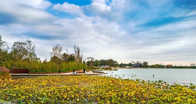 京城唤醒1.2万公顷湿地.jpeg 京城唤醒1.2万公顷湿地.jpeg