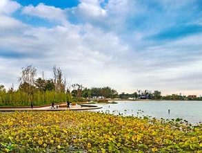 京城唤醒1.2万公顷湿地 京城唤醒1.2万公顷湿地