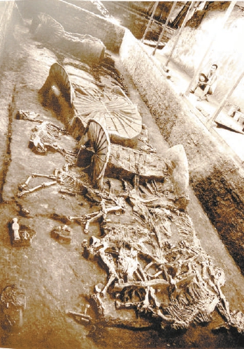 一号墓墓道内的车马坑，这里发现的殉葬车马均是墓主人生前使用过的真车马。