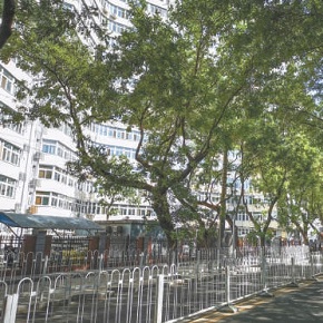 老北京象房今昔 老北京象房今昔