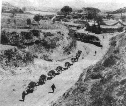 舊時路過石景山模式口的古道運煤駱駝隊