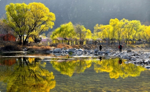 “穿林棲水 豐景騎行”園博綠道