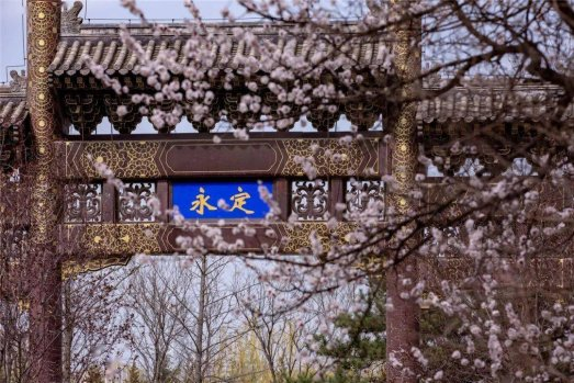 園博半馬“一場馬拉松和中國園林相遇”