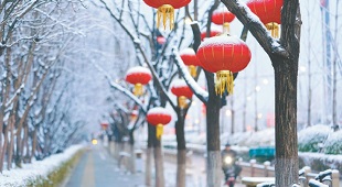 雪后的城市副中心银装素裹 雪后的城市副中心银装素裹