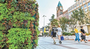 绿色空间装点王府井 绿色空间装点王府井