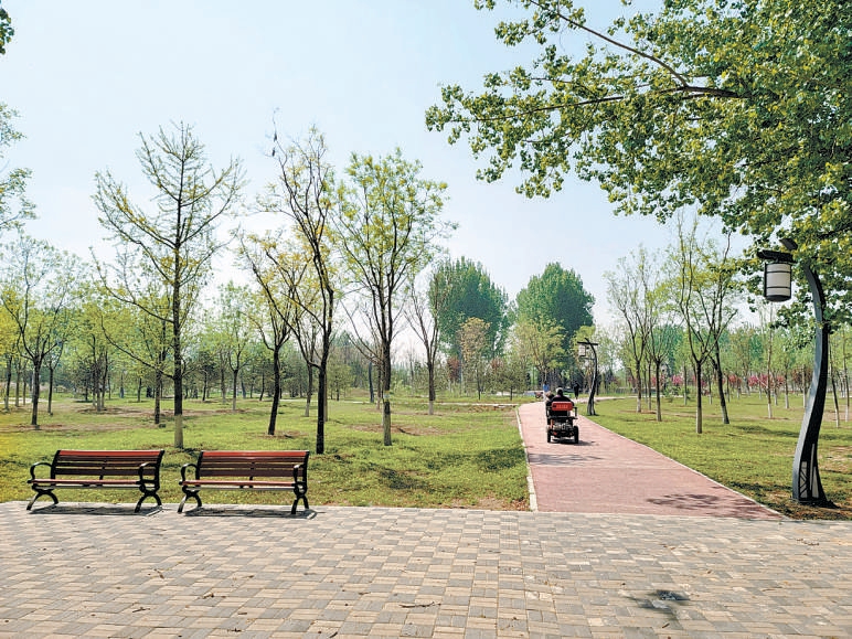 张家湾新型集体林场。 张家湾新型集体林场。