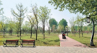 一座“聪明”的林场长啥样? 一座“聪明”的林场长啥样?