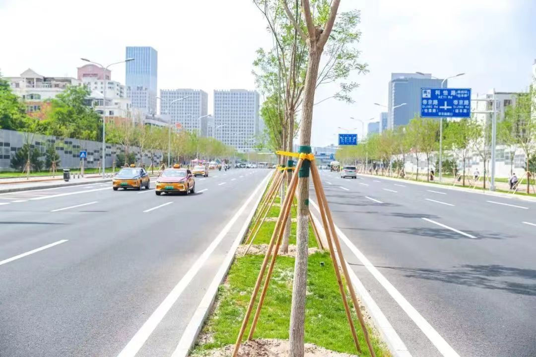 丰台站的“一横四纵”支路网将于今年建成 丰台站的“一横四纵”支路网将于今年建成