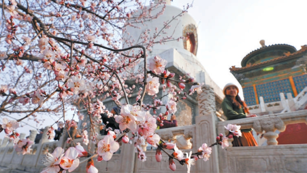 新建項目 新建項目