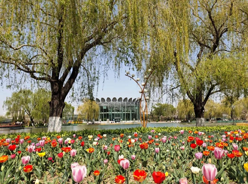 北京世界花卉大观园.png
