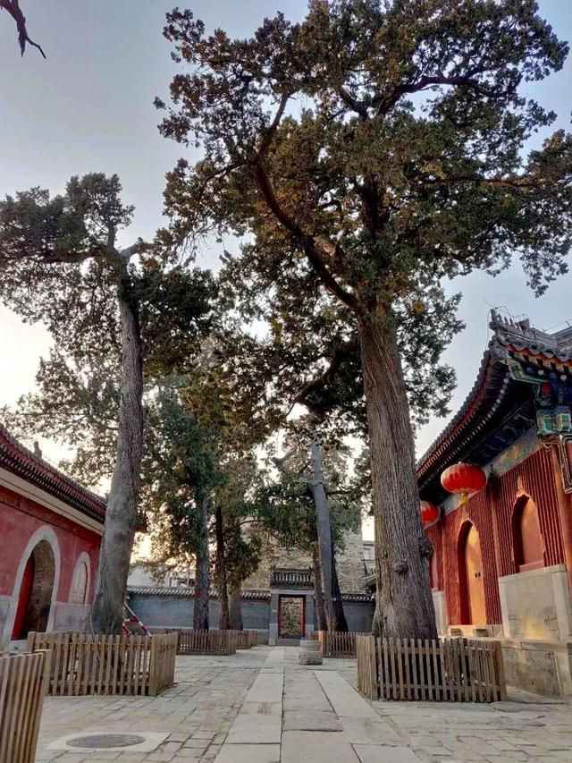 承恩寺 千年古剎開展“燕京八絕”.png