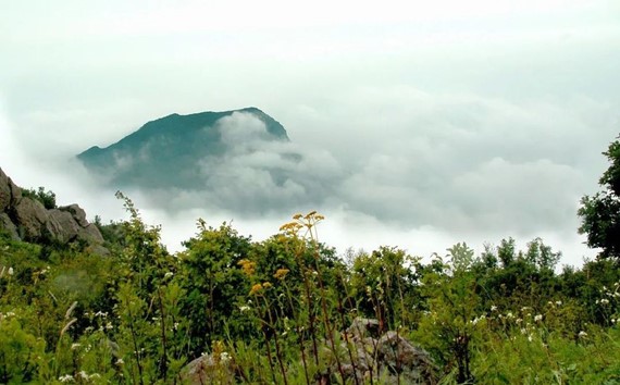2022北京西山永定河文化节之“绿色西山”活动版块——首届京西山水嘉年hth华体(图1)