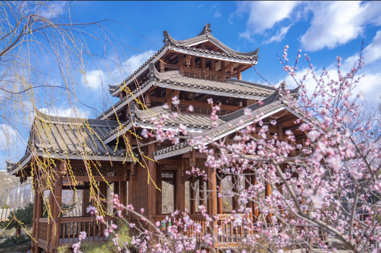 最佳賞花期將至!“開往春天的列車”來啦!遊玩攻略請收好 | 週末京郊微度假 最佳賞花期將至!“開往春天的列車”來啦!遊玩攻略請收好 | 週末京郊微度假