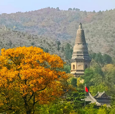 北京秋色正濃 紅葉漫爛