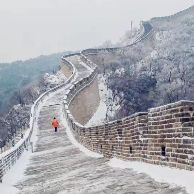 春雪飛花 賞八達嶺長城的別致盛宴