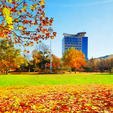 密雲公園的初冬色彩