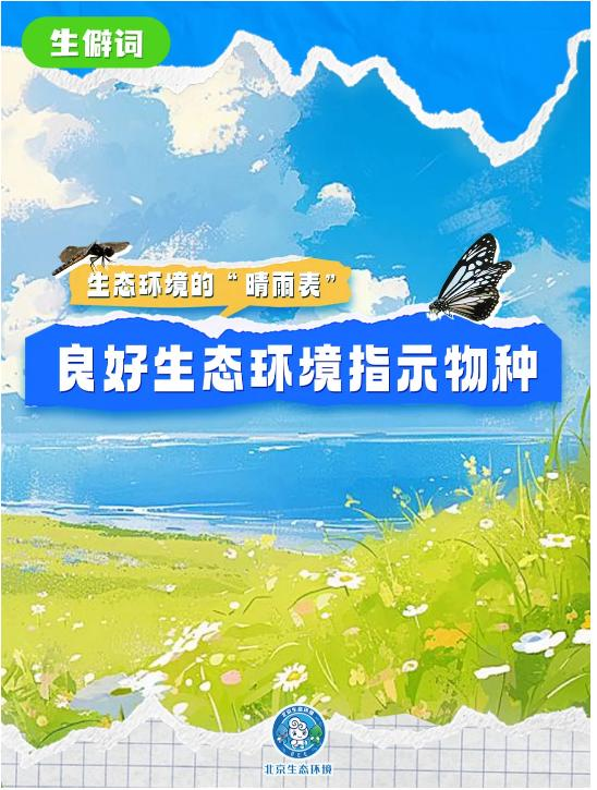 別只知道“生物多樣性” 讀懂這些才算真懂生態(一) 別只知道“生物多樣性” 讀懂這些才算真懂生態(一)