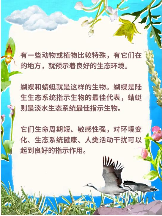 別只知道“生物多樣性” 讀懂這些才算真懂生態(一) 別只知道“生物多樣性” 讀懂這些才算真懂生態(一)