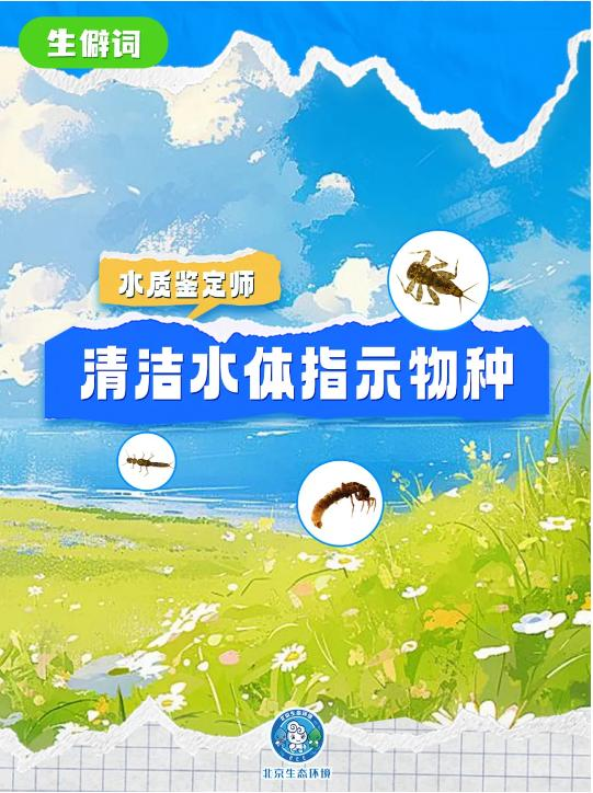 別只知道“生物多樣性” 讀懂這些才算真懂生態(一) 別只知道“生物多樣性” 讀懂這些才算真懂生態(一)
