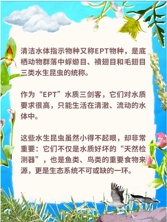 別只知道“生物多樣性” 讀懂這些才算真懂生態(一) 別只知道“生物多樣性” 讀懂這些才算真懂生態(一)