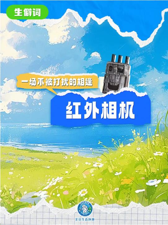 別只知道“生物多樣性” 讀懂這些才算真懂生態(一) 別只知道“生物多樣性” 讀懂這些才算真懂生態(一)