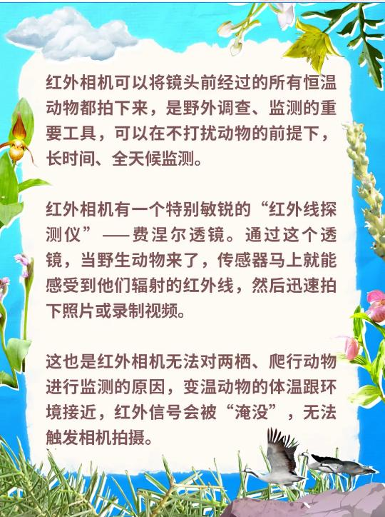 別只知道“生物多樣性” 讀懂這些才算真懂生態(一) 別只知道“生物多樣性” 讀懂這些才算真懂生態(一)