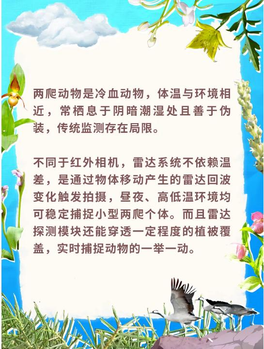 別只知道“生物多樣性” 讀懂這些才算真懂生態(一) 別只知道“生物多樣性” 讀懂這些才算真懂生態(一)