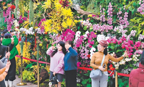 市屬公園年味兒足人氣旺 65萬人“日間賞景、夜間遊園”