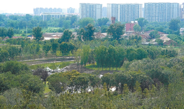 南苑森林湿地公园未来将呈现出山水相依的景观。