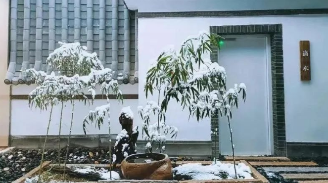 疏整促剪影丨變化天天看：“城市舞臺”上的文創“名角”