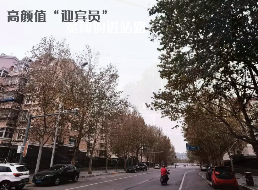 疏整促剪影丨變化天天看：get新裝扮 朝陽站東環境up
