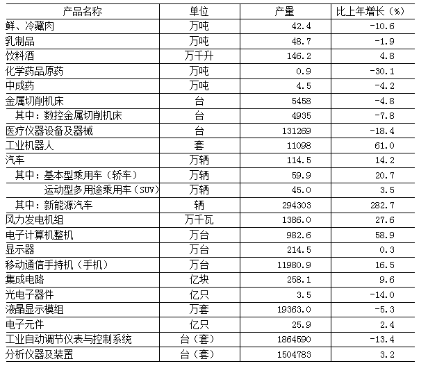 表6　　2024年規模以上工業企業主要産品産量