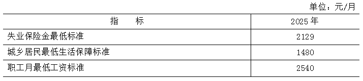 表12 2025年社会保障相关待遇标准 表12 2025年社会保障相关待遇标准