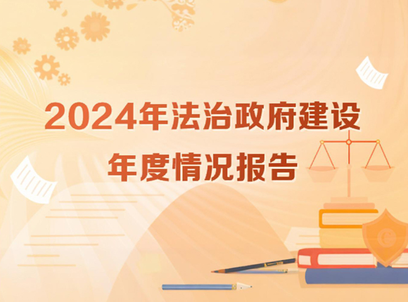 2024年法治政府建设年度情况报告