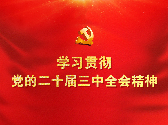 学习贯彻党的二十届三中全会精神