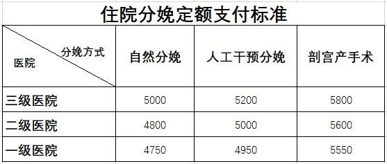 住院分娩定额支付标准