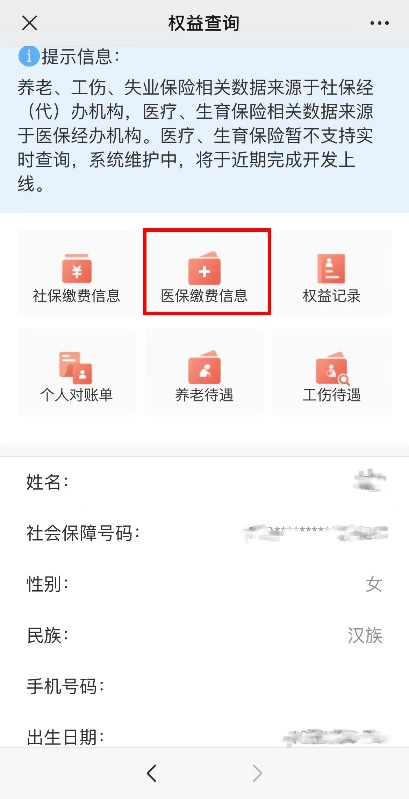 如何查询个人社保缴费信息？