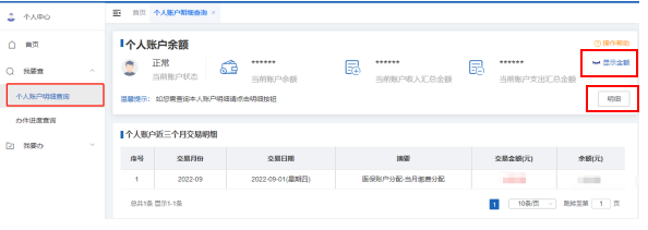 如何查询医保个人账户余额和明细？（电脑端）